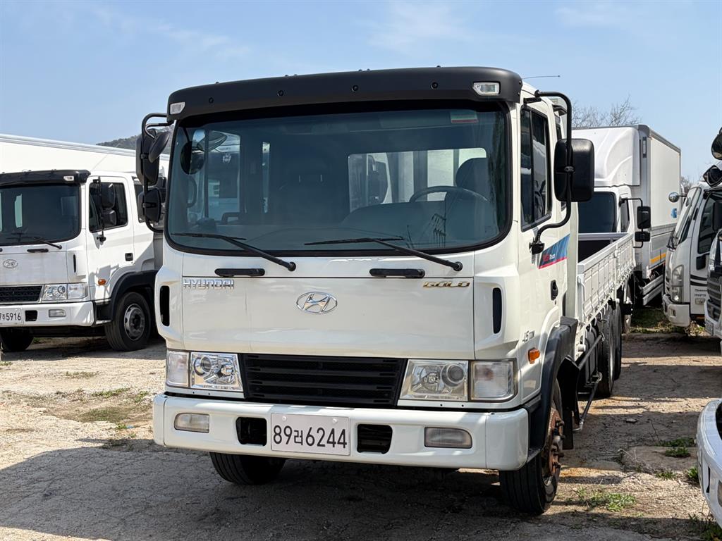 현대 메가트럭 4.5톤 카고 중고 화물차 2009년식 주행 793,771km 대표 이미지