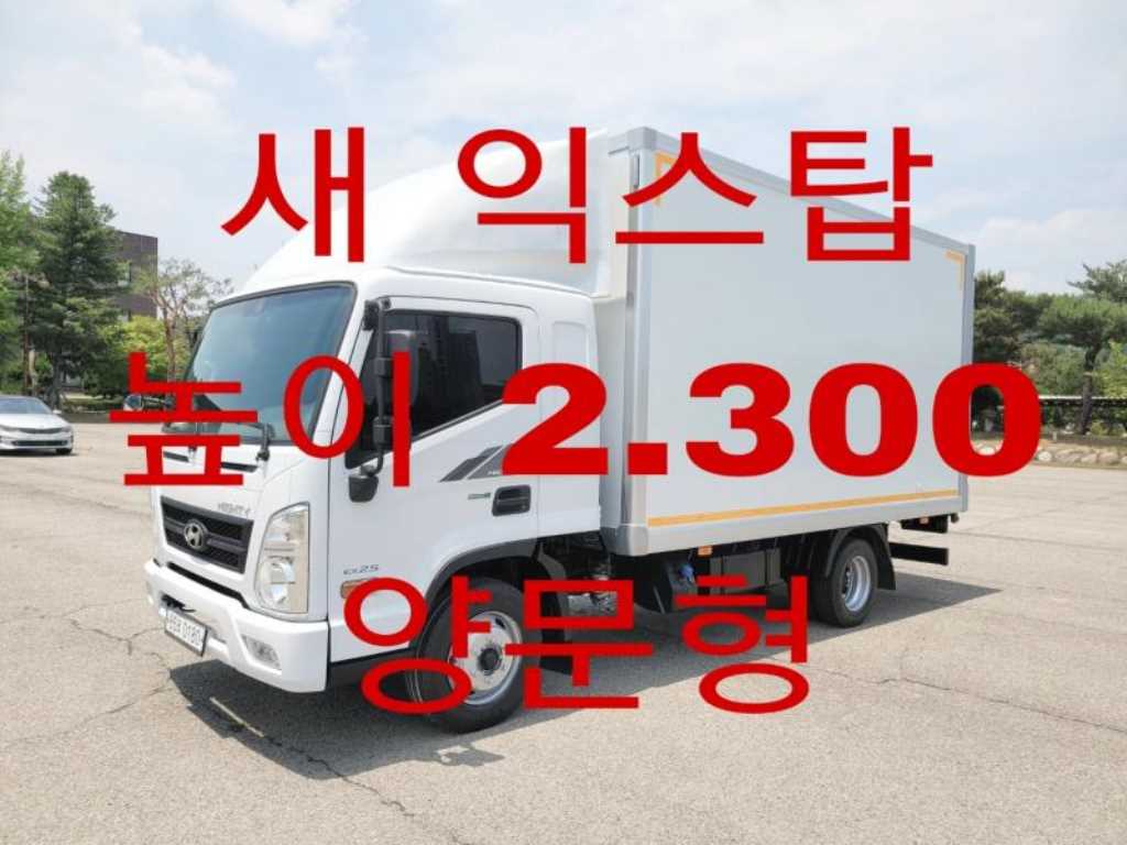 현대 중대형화물 익스탑 2.5톤 2020년식 주행 125,358km 중고 화물차 대표 이미지